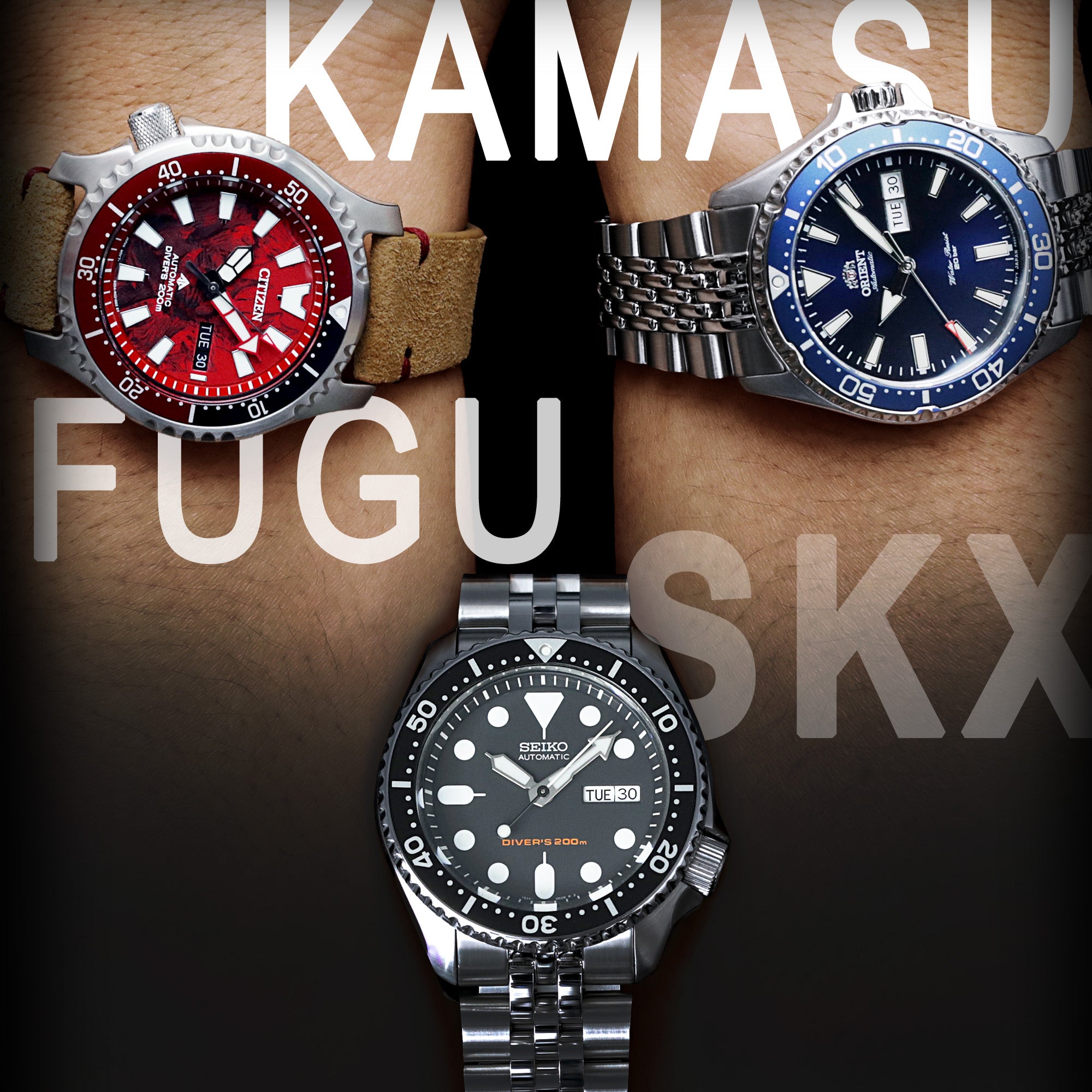 Verenigde Staten van Amerika Gevaar moed Seiko SKX Vs Citizen Vs Orient Kamasu, Budget-friendly Dive watches -  Strapcode
